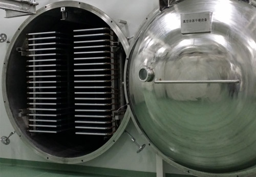 生產(chǎn)型凍干機